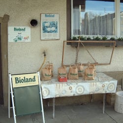 Bioland-Obsthof Günter Litz