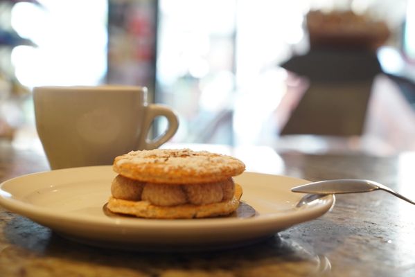 Paltoquet (Le) by null