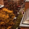 NYU Global Center for Academic & Spiritual Life gift card