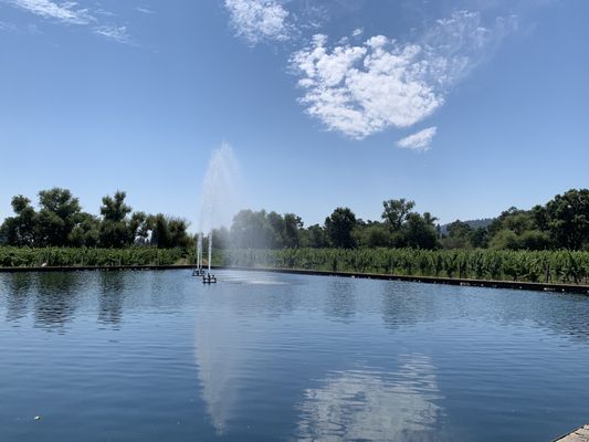 Alpha Omega Winery by null