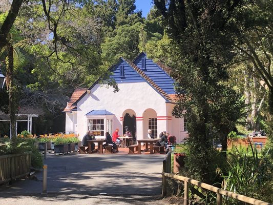 Pukekura Park by null