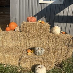 Kent Farms