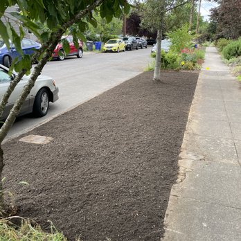 Santiago Lawn Maintenance - After... Level, clean, and ready for planting with a layer of blended soil. - Lawn Services Near Me Santiago Lawn Maintenance - After... Level, clean, and ready for planting with a layer of blended soil. - Lawn Services Near Me