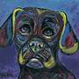 Photo of Ania Milo Fine Art & Pet Portraits