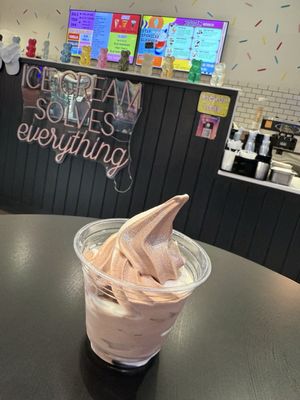 MN Nice Cream by null