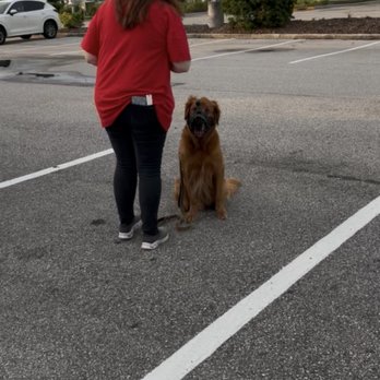 K9 Department - Pet Training Near Me - Bushnell , Florida