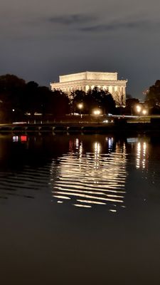 City Cruises by null