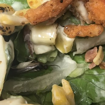 Chick-fil-A - Fast Food Near Me - Humble, Texas Chick-fil-A - Fast Food Near Me - Humble, Texas
