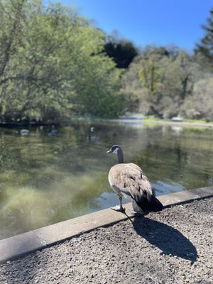 Photo of John McLaren Park - San Francisco, CA, US.