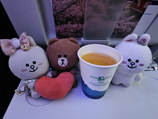 Alaska Airlines by null