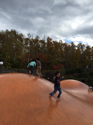 Takino Suzuran Hillside Park by null