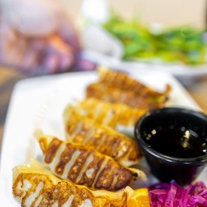 Favorites in San Jose