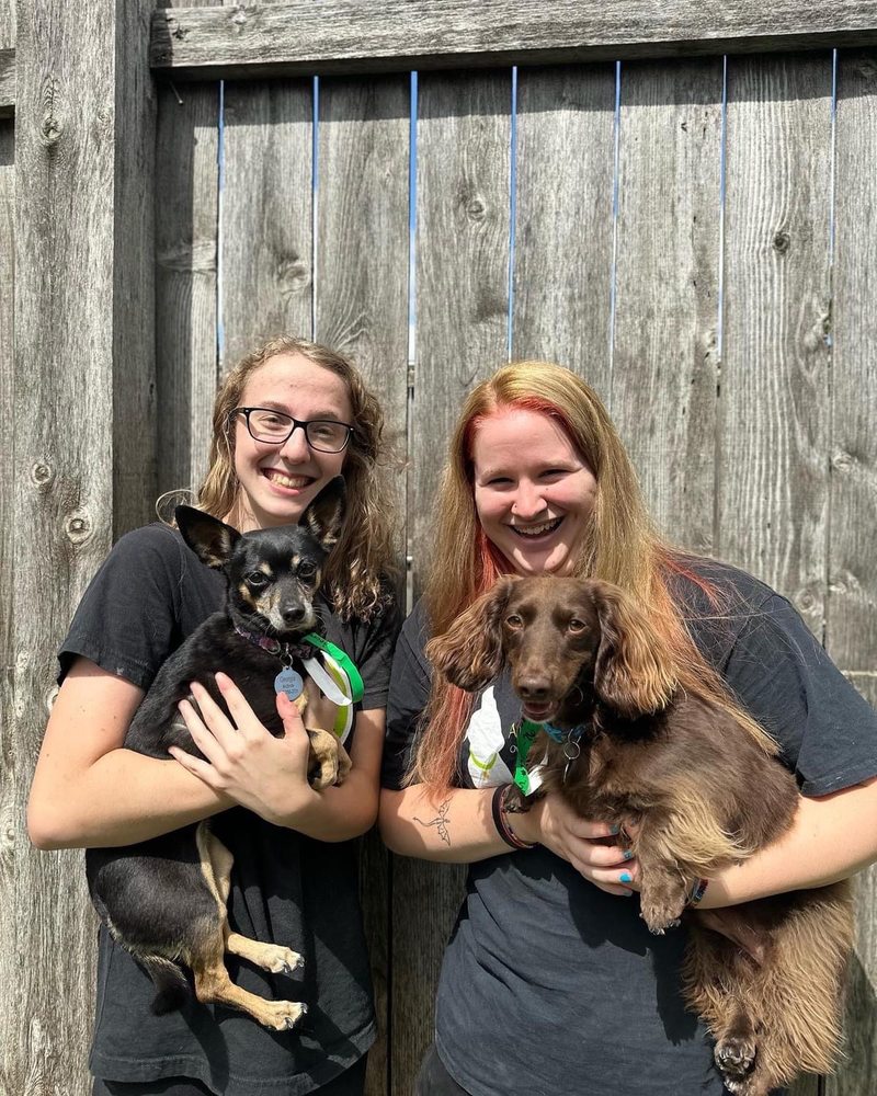 ADOGO PET HOTEL Updated September 2024 19 Photos & 51 Reviews