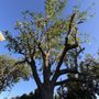 RF Garden & Landscaping Services