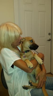 KEY WEST VETS AND PETS - Updated June 2026 - 13 Photos & 35 Reviews ...