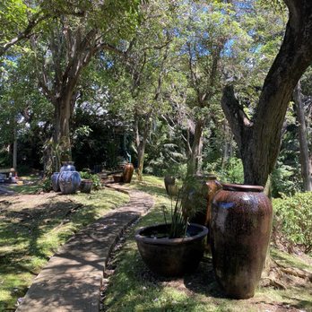 Geobunga - Landscape... - Nurseries & Gardening Near Me - Aiea, Hawaii