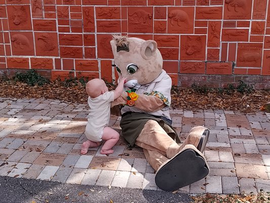 ZooTampa at Lowry Park by null
