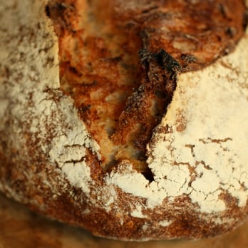 Manresa Bread - Apricot-Sunflower Seed Bread ($8) - Bakeries Near Me - Los Gatos, California Manresa Bread - Apricot-Sunflower Seed Bread ($8) - Bakeries Near Me - Los Gatos, California