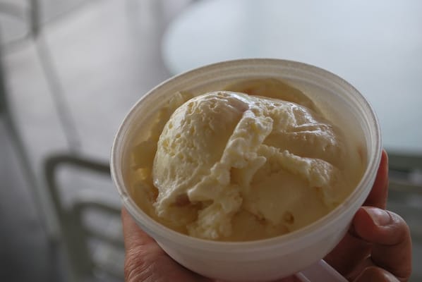 Mauna Loa Macadamia Nut Visitor Center by null