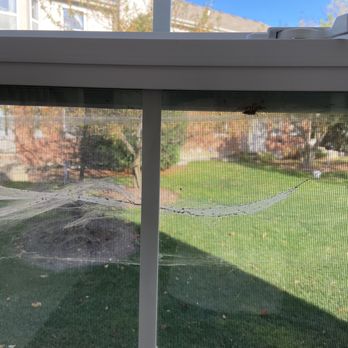 EcoShield Pest Solutions - Spider web even after 3 visits from the technician it is still not resolved. - Pest Control Near Me - Geneva, Illinois EcoShield Pest Solutions - Spider web even after 3 visits from the technician it is still not resolved. - Pest Control Near Me - Geneva, Illinois