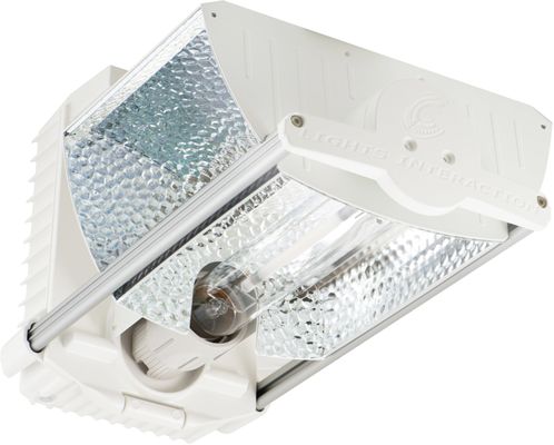 Harvest Moon Hydroponics by null