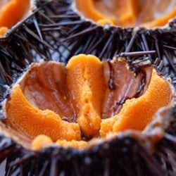La Fattoria del Mare