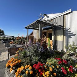 Winchester Estate Winery - Tasting room summer flowers