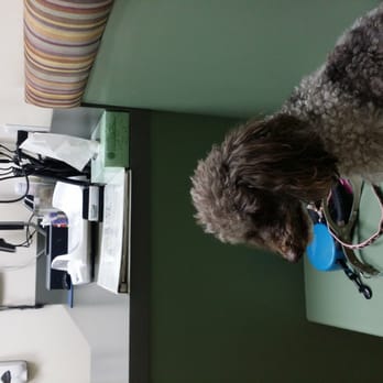 vca mission animal & bird hospital