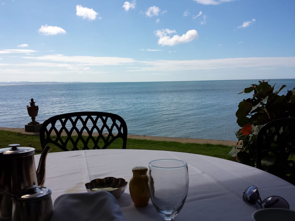 Horned Dorset Primavera