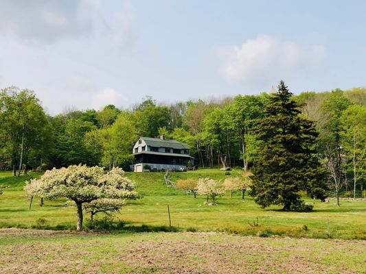 Mountain Top Arboretum by null