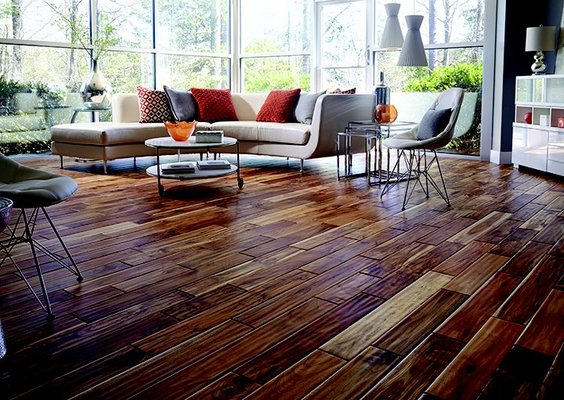 Lumber Liquidators by null