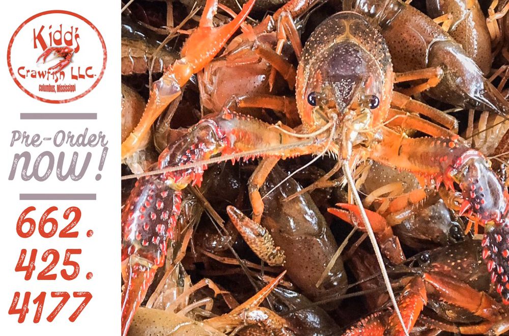 Kidd's Crawfish Kidd's Crawfish