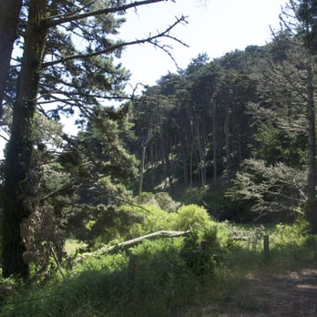 Kirby Cove - Campgrounds Near Me - Sausalito, California Kirby Cove - Campgrounds Near Me - Sausalito, California