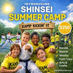 Shinsei Martial Arts & Fitness Center - Summer Camp at Shinsei