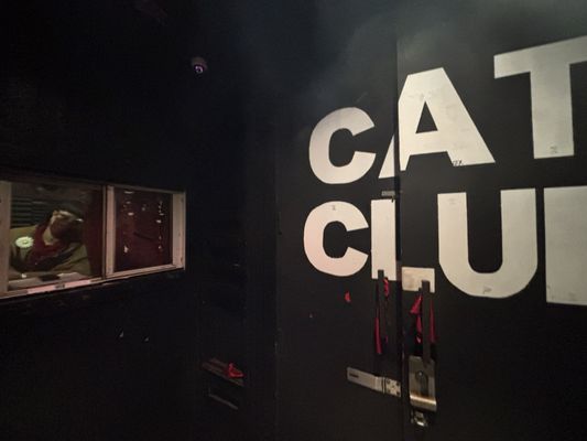Cat Club by null