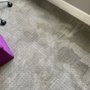 Photo of Ambrose Advanced Carpet Cleaning
