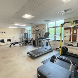 Professional Physical Therapy