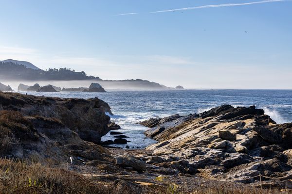 Point Lobos State Natural Reserve by null