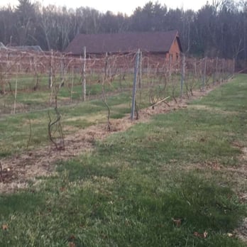 Verde Vineyards - Wineries Near Me - Johnston, Rhode Island