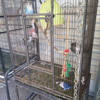 Golf N Gator - Birds kept in dirty cage, in 100° heat with only 1 perch and 2 toys. - Mini Golf Near Me - Cape Canaveral, Florida