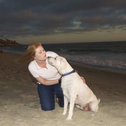 Mama Bear's Pet Sitting & Dog Walking