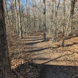 Lime Rock Nature Preserve - Typical trail