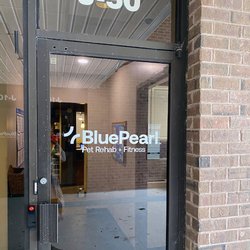 BluePearl Pet Rehab + Fitness