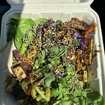 Wildflower Cafe & Bakery - Dragonbowl to go! - Vegetarian Near Me - Arcata, California Wildflower Cafe & Bakery - Dragonbowl to go! - Vegetarian Near Me - Arcata, California