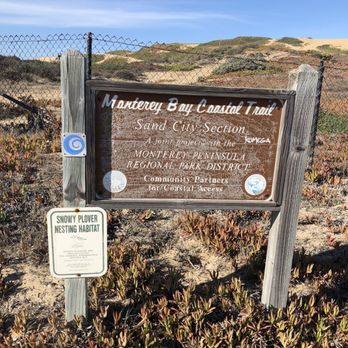 Monterey Bay Coastal Trail - Gorgeous!! - Hiking Near Me
