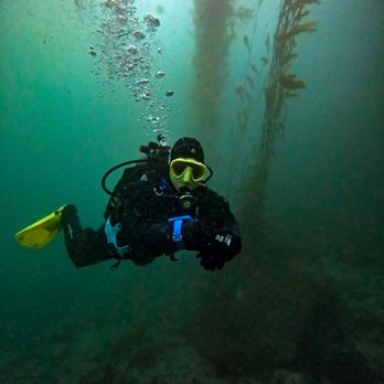 Monterey Expeditions - Scuba diver off Monterey, CA. - Paddleboarding Near Me