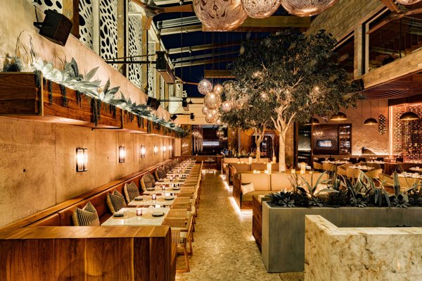 Toca Madera Scottsdale by null