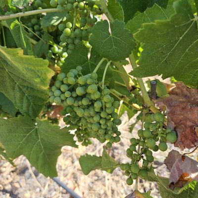 Saddlerock Ranch by null