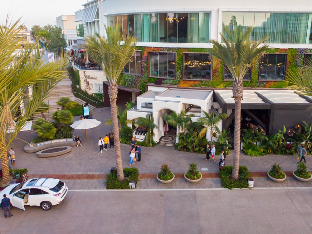 Javier's La Jolla