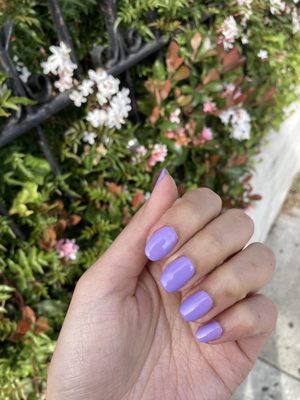 Castro Nail Salon by null